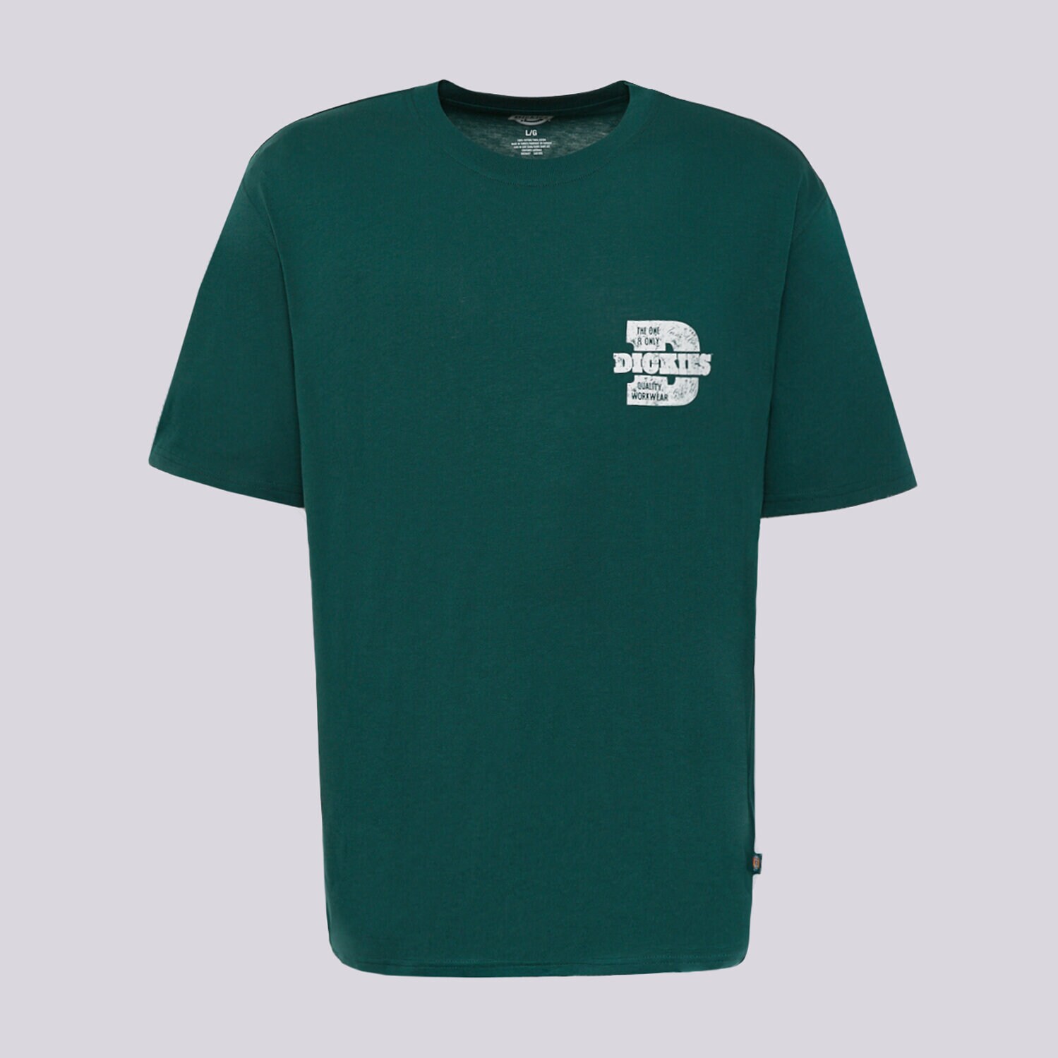 Herren T-Shirt DICKIES T-SHIRT MINDEN SS TEE DK0A8DTCB421 Grün