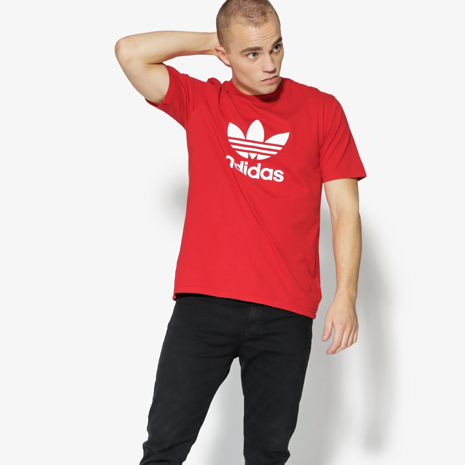 Herren T-Shirt ADIDAS T-SHIRT SS TREFOIL T-SHIRT CX1895 Rot