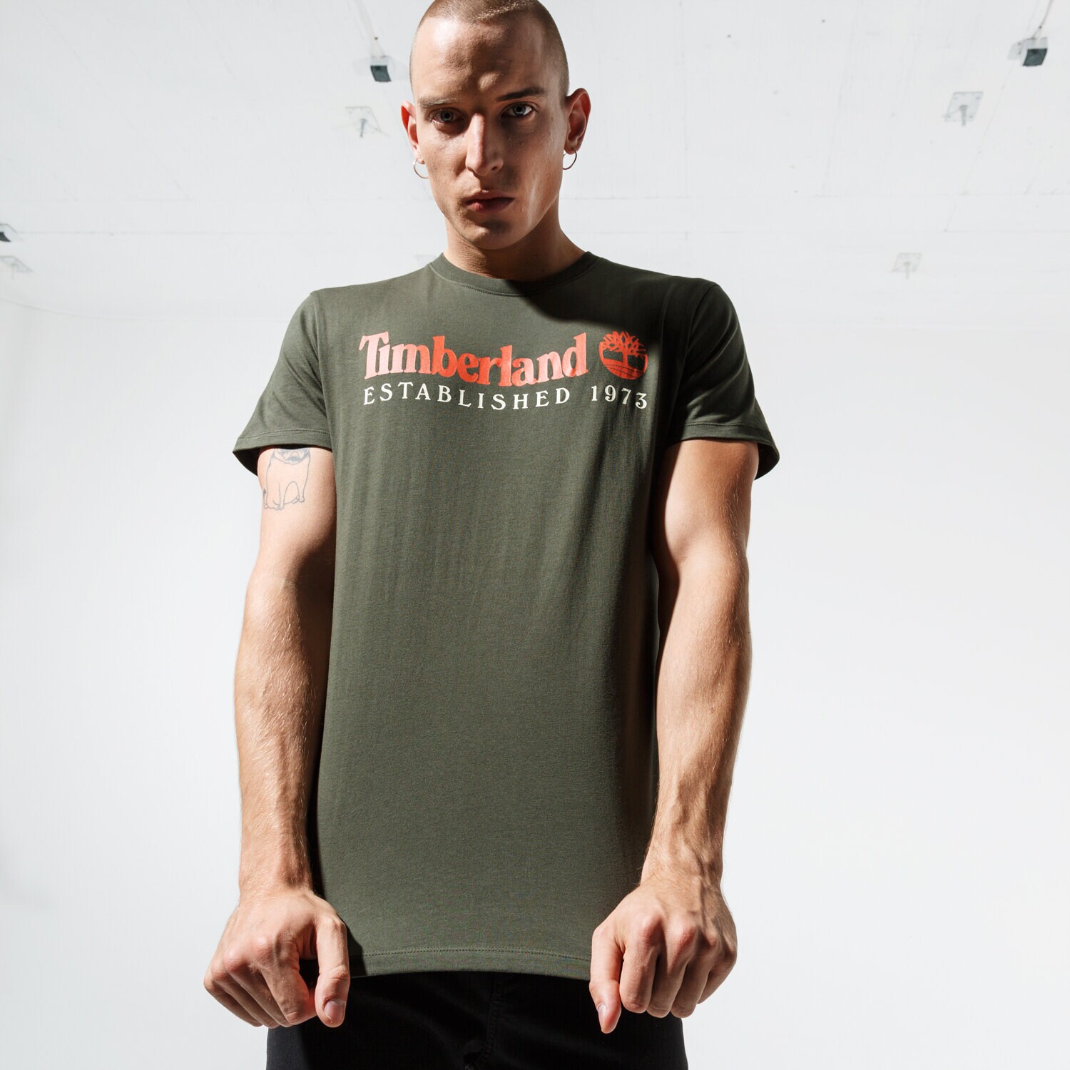 Herren T-Shirt TIMBERLAND T-SHIRT SS SS ESTABLISHED 1973 TEE TB0A1YVGU311 Grün