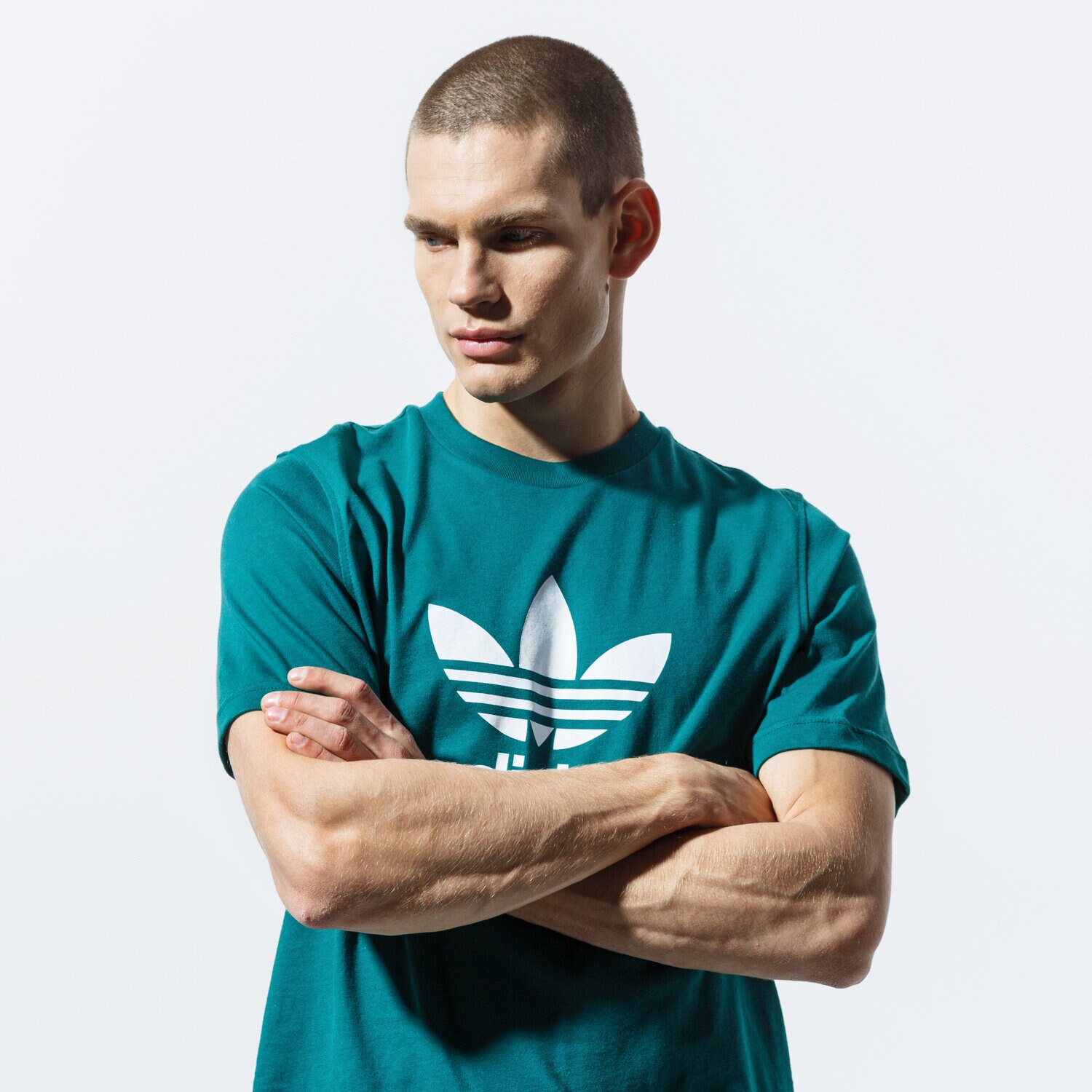 Herren T-Shirt ADIDAS T-SHIRT SS TREFOIL T-SHIRT EJ9677 Grün