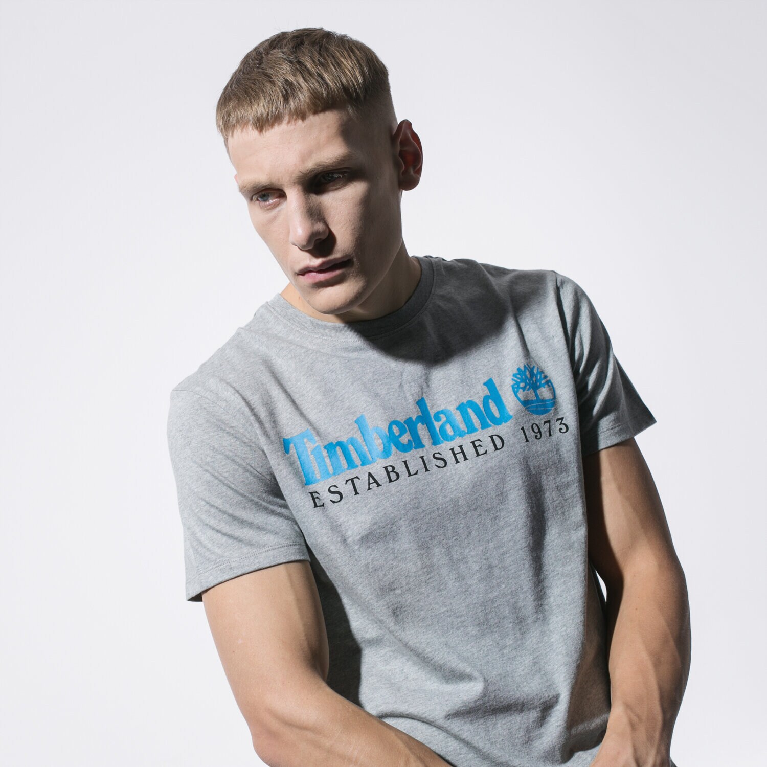 Herren T-Shirt TIMBERLAND T-SHIRT SS SS ESTABLISHED 1973 TEE TB0A1YVG0521 Grau