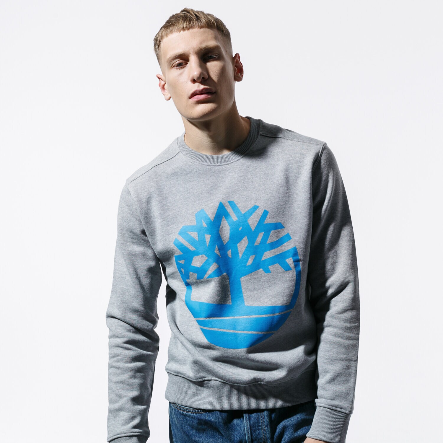 Herren TIMBERLAND SWEATSHIRT CORE TREE LOGO CREW SWEAT TB0A1ZKC0521 Grau