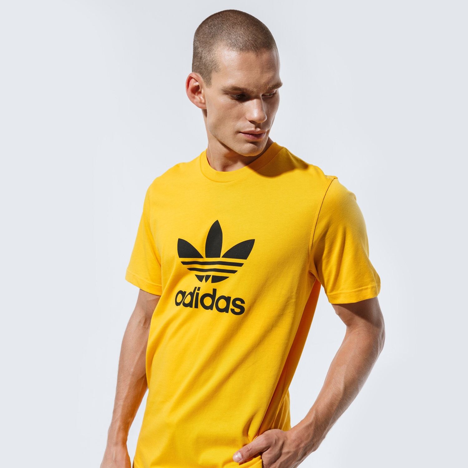 Herren T-Shirt ADIDAS T-SHIRT TREFOIL T-SHIRT GD9913 Gelb