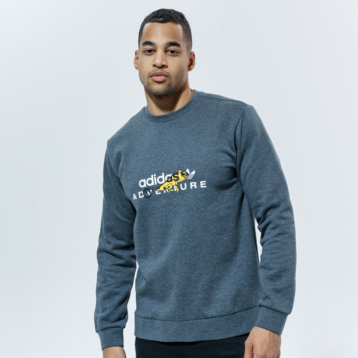 Herren T-Shirt ADIDAS T-SHIRT ADV GRAPHICCREW GD5602 Grau