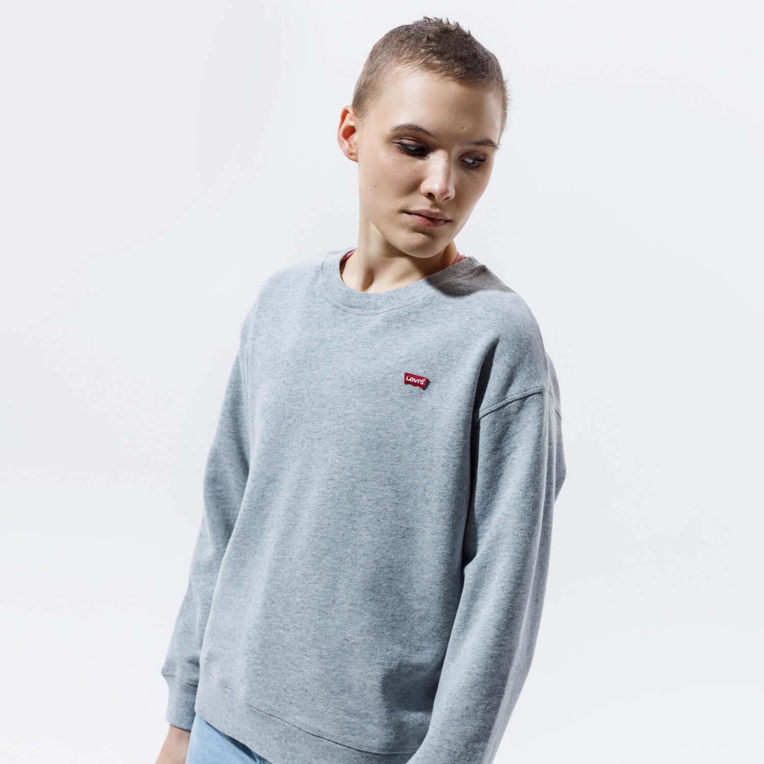 Damen LEVI'S SWEATSHIRT STANDARD CREW 24688-0000 Grau