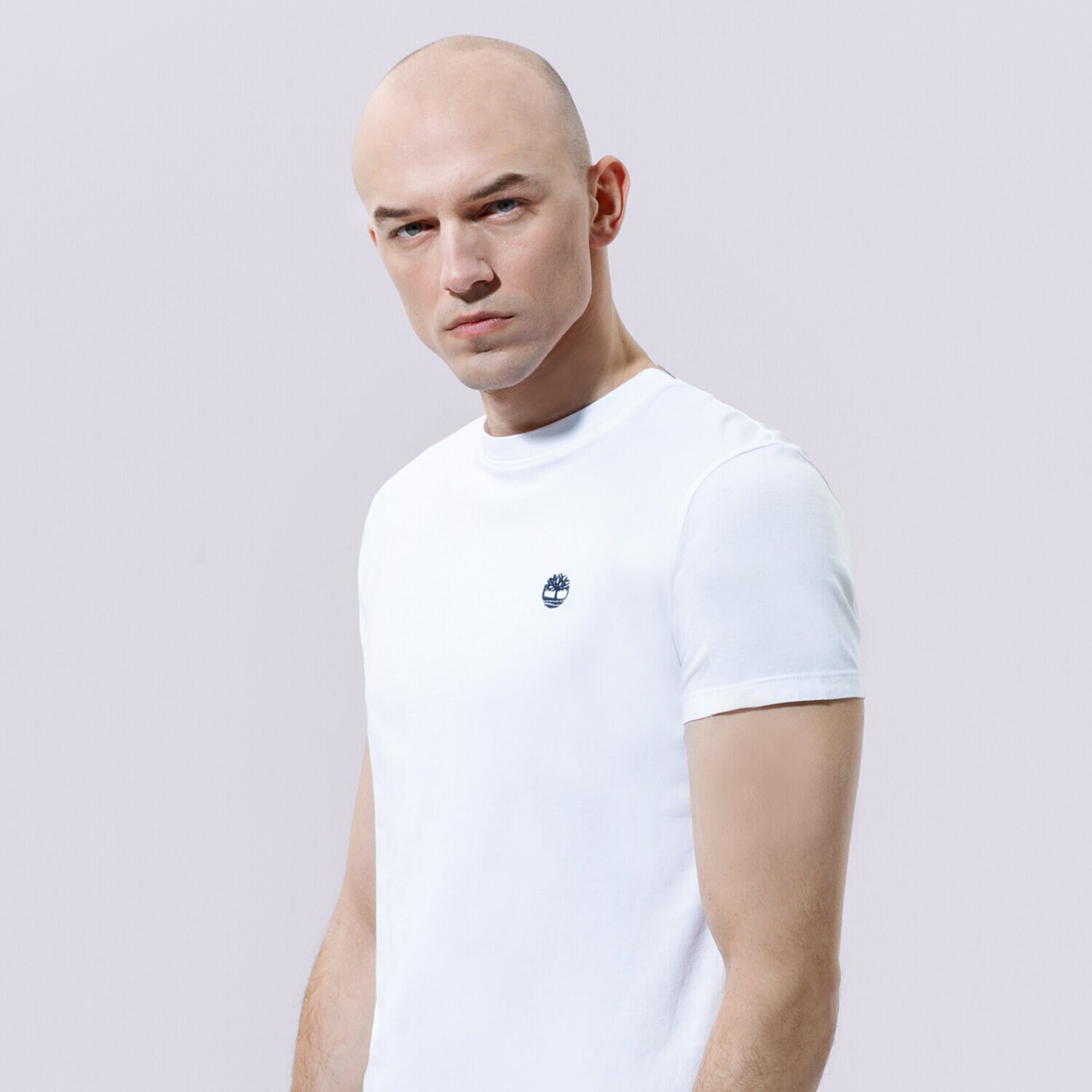 Herren T-Shirt TIMBERLAND T-SHIRT SS DUNSTAN JERSEY CREW TEE SLIM TB0A2BPR1001 Weiß