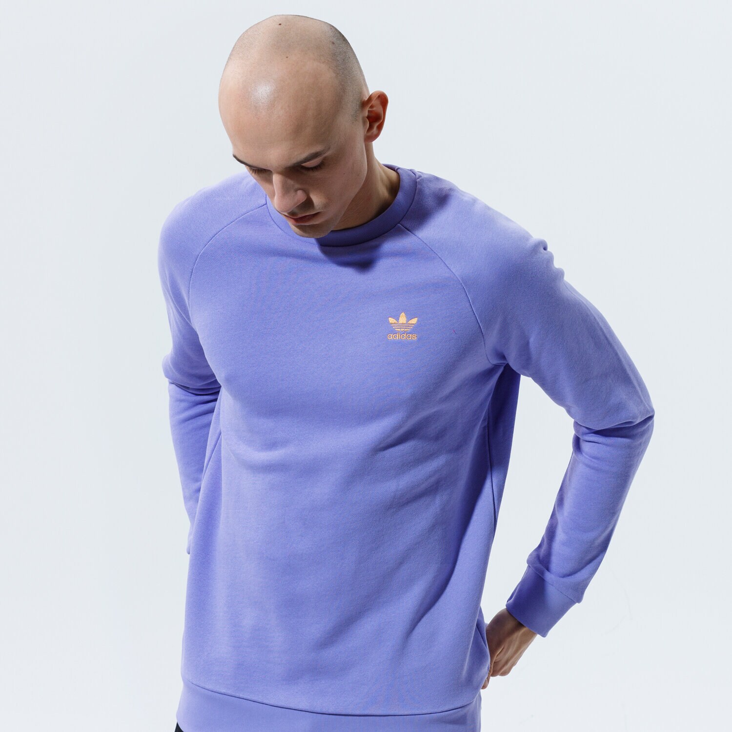 Herren ADIDAS SWEATSHIRT ESSENTIAL CREW GN3410 Violet