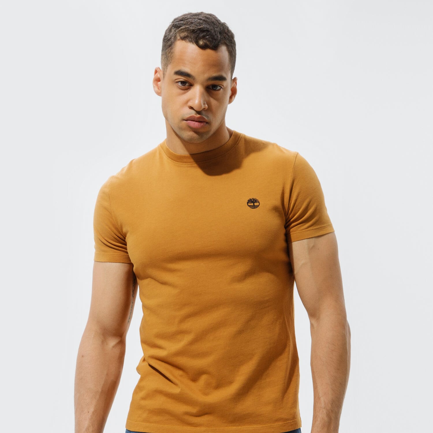 Herren T-Shirt TIMBERLAND T-SHIRT SS DUNSTAN RIVER JERSEY CREW TEE (SLIM) TB0A2BPRP471 Braun
