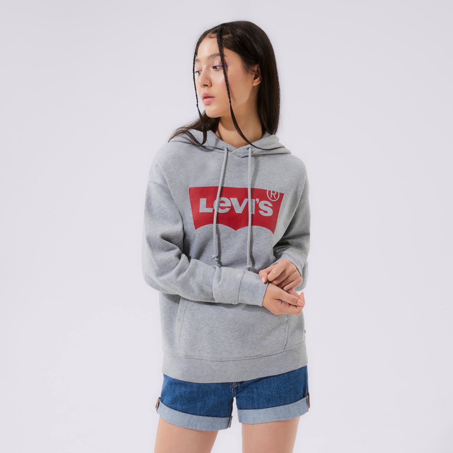 Damen LEVI'S HOODIE GRAPHIC STANDARD HOODIE 18487-0020 Grau