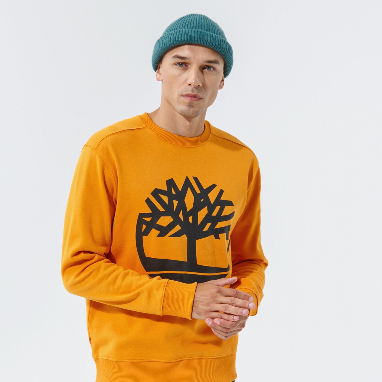 Herren TIMBERLAND SWEATSHIRT YC CORE TREE LOGO CREW NECK SWEATSHIRT TB0A2BJ8AR81 senfgelb