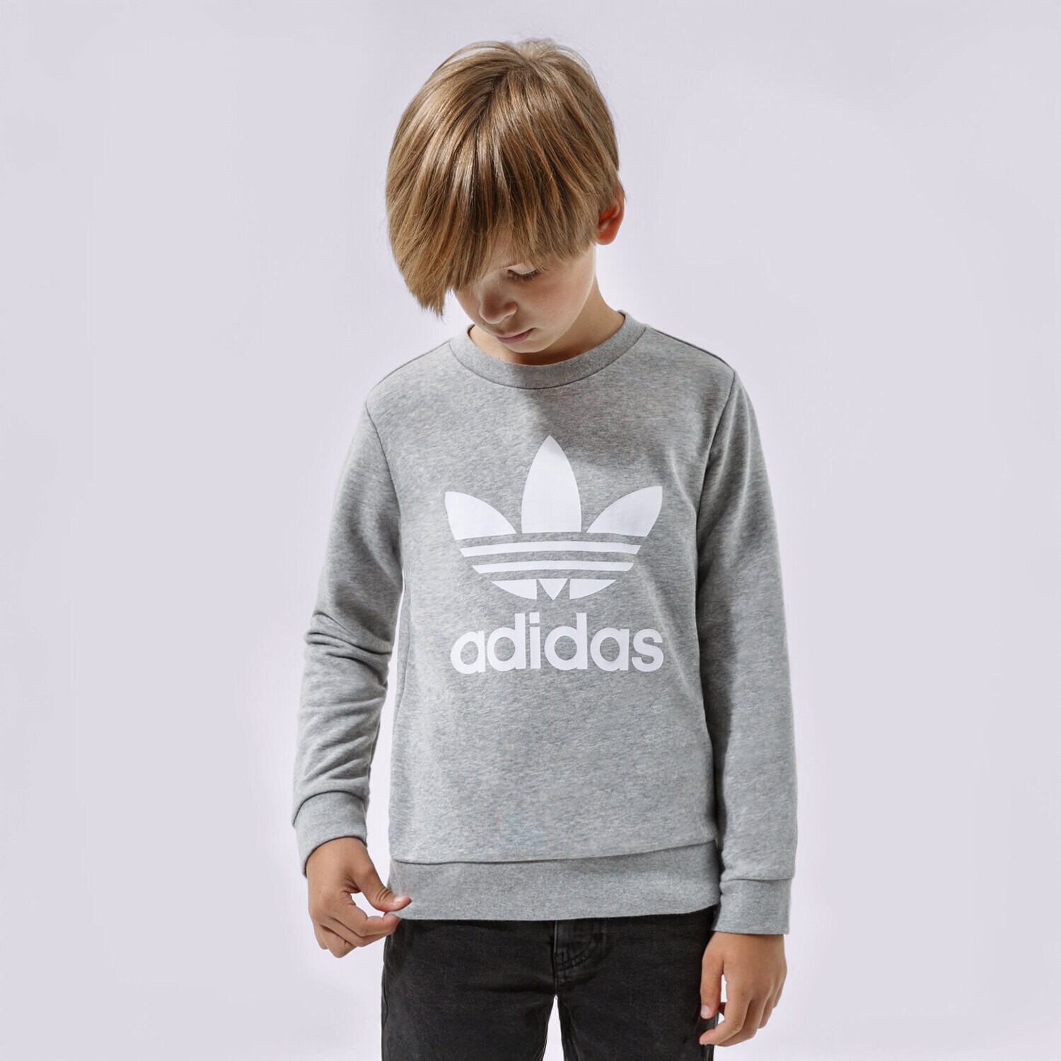 Kinder ADIDAS SWEATSHIRT TREFOIL CREW BOY GD2709 Grau