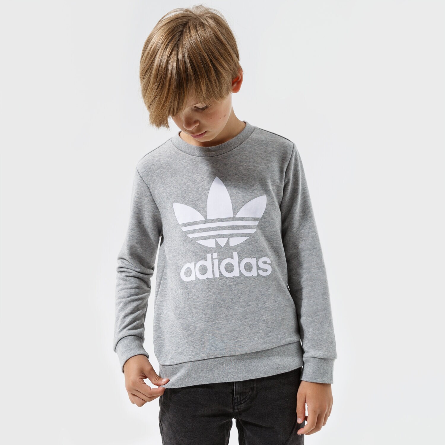 Kinder ADIDAS SWEATSHIRT TREFOIL CREW BOY GD2709 Grau