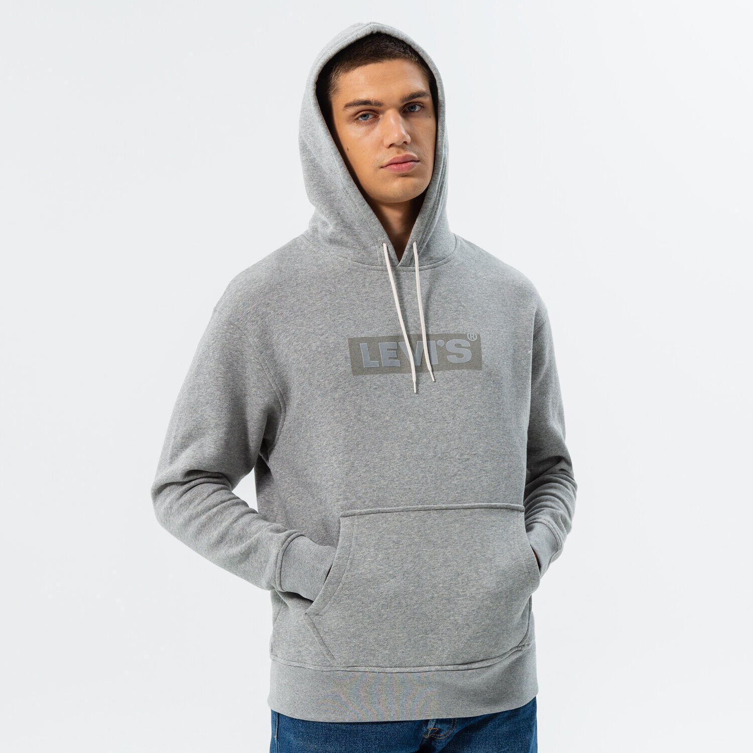 Herren LEVI'S HOODIE RELAXED GRAPHIC PO 38479-0136 Grau