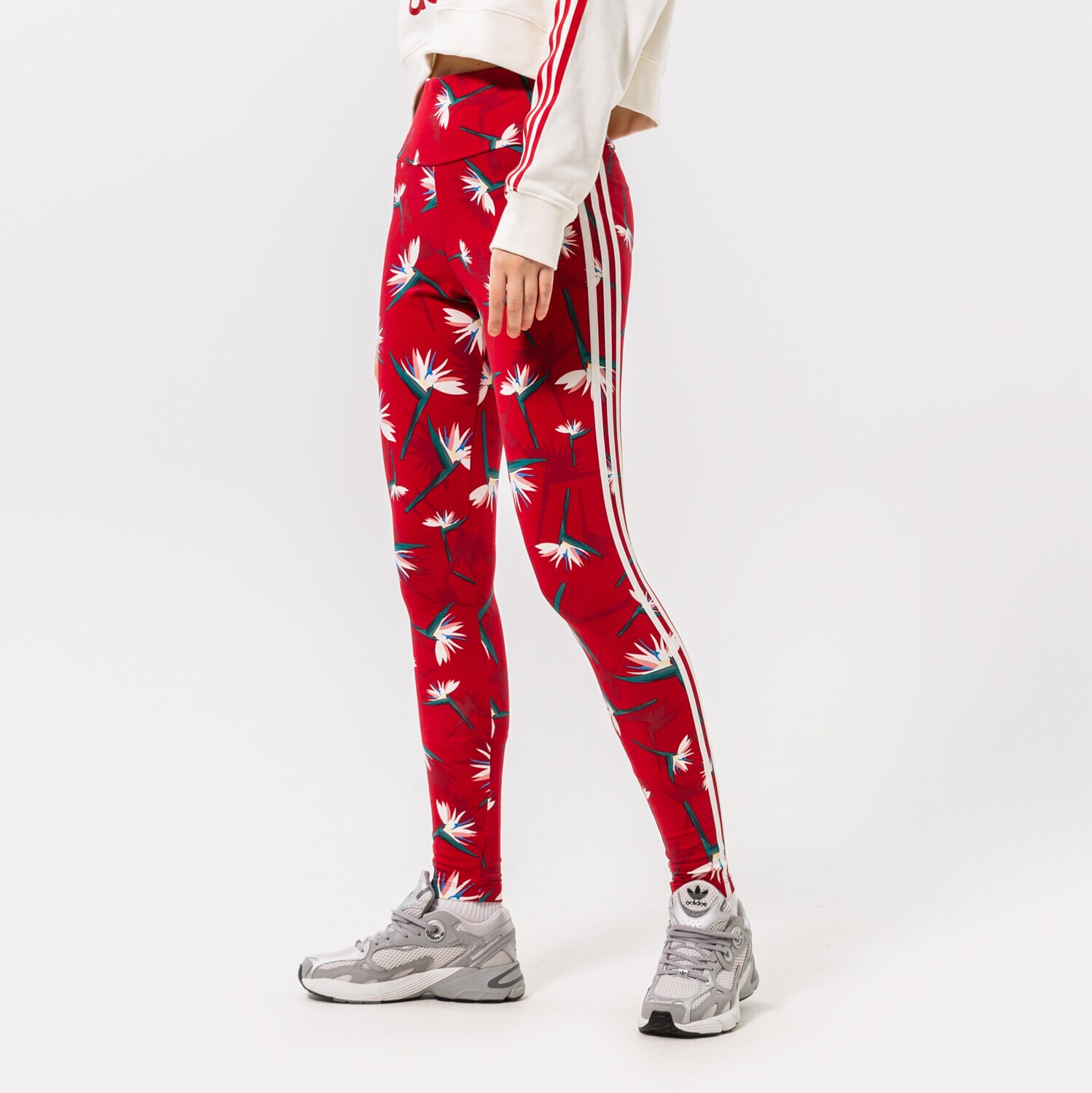 Damen Hosen ADIDAS LEGGINGS THEBE MAGUGU X ADIDAS HK5214 Rot