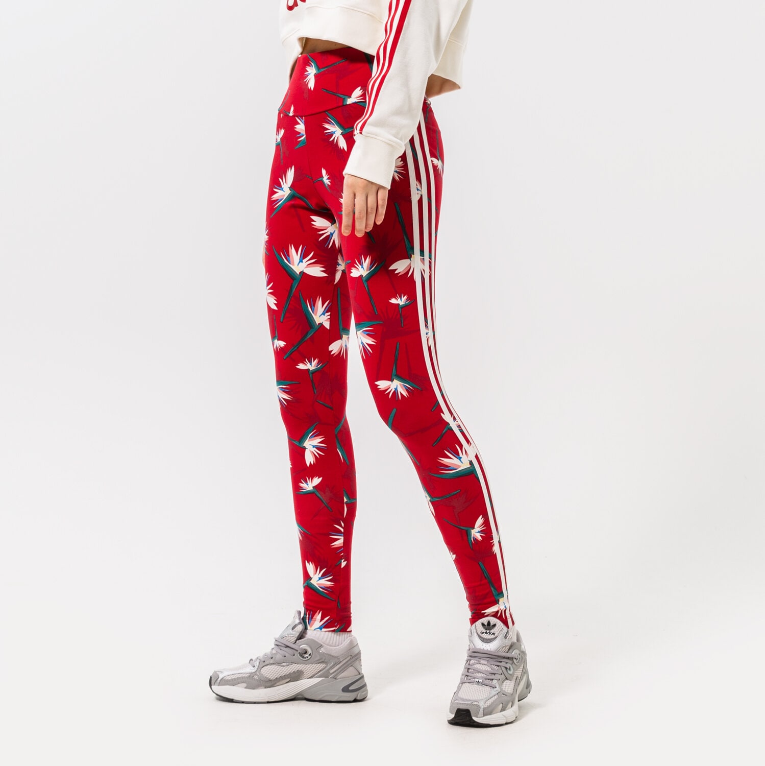 Damen Hosen ADIDAS LEGGINGS THEBE MAGUGU X ADIDAS HK5214 Rot