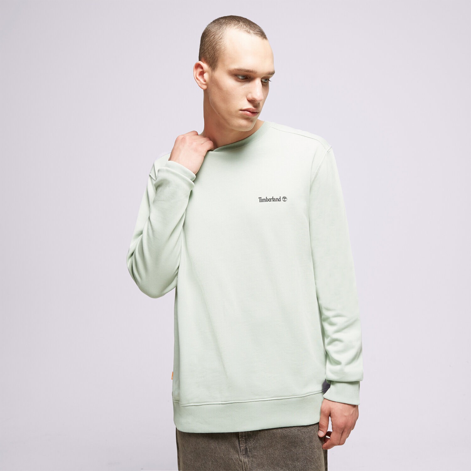 Herren TIMBERLAND SWEATSHIRT SMALL LOGO PRINT TB0A5PDVQ431 Grau